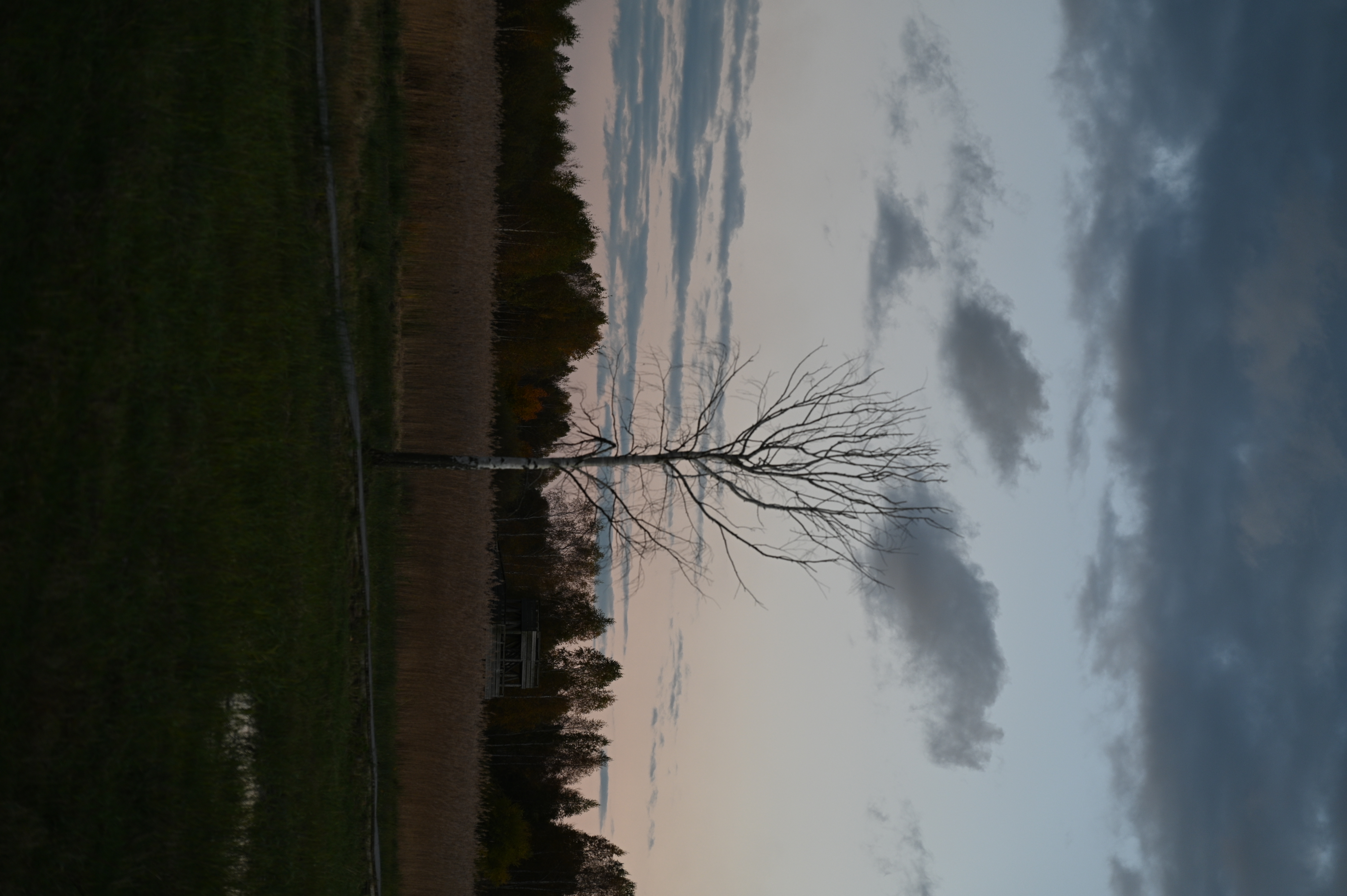 2025/10/18 - walk/DSC_0566.JPG